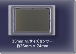 size-main05 size-main05
